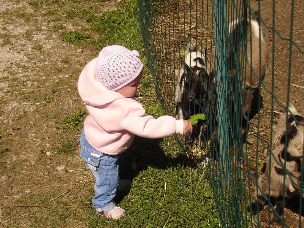 Vakantieboerderij Tolpei *