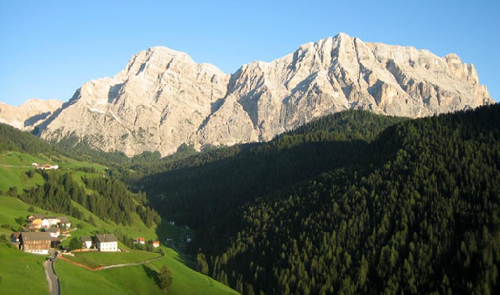Tolpei